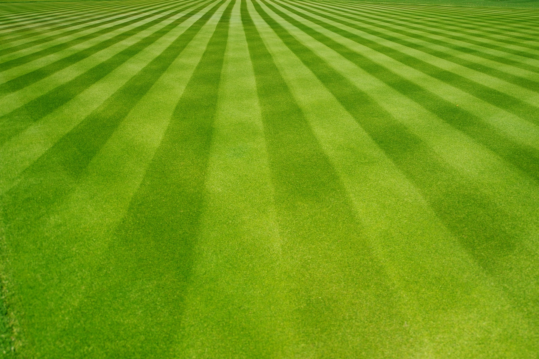 Perfectly striped freshly mowed garden lawn | LandMaster Outdoor Services